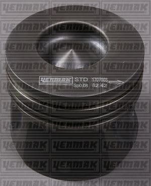 Piston+segman
