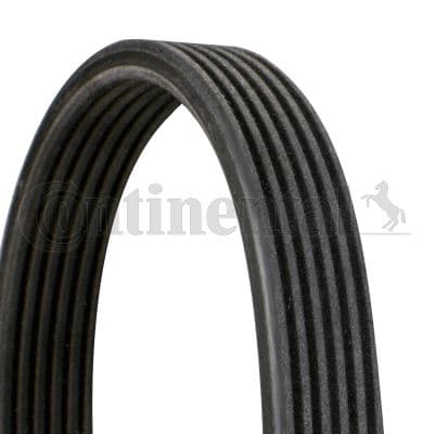 Kanallı Kayış Volvo C70 S60 S70 S80 V70 V70XC XC70 XC90 68431D
