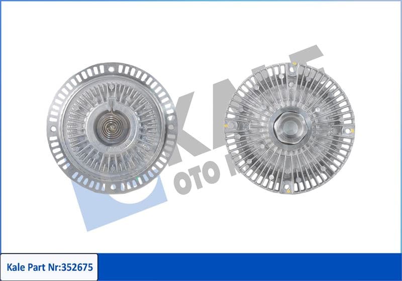 Fan Termigi