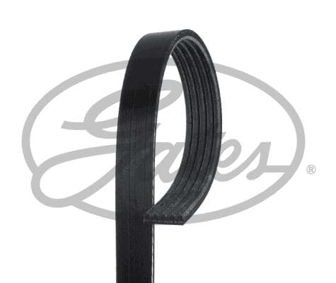 Kanallı Kayış Astra H 1.6-1.8-Vectra C 1.8 05 > 5PK 1545