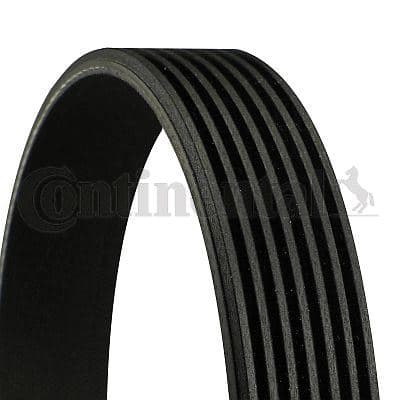 Kanallı Kayış Ford Transit 300-330-350 2.4TDCI 06 > 350-430-460 2.4TDCI 3.2TDCI 06 >