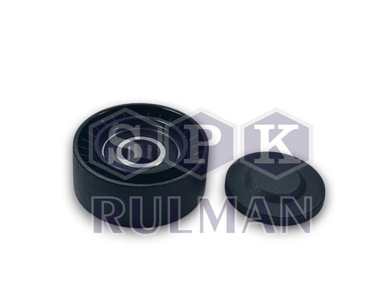 Alternatör Gergi Rulmanı