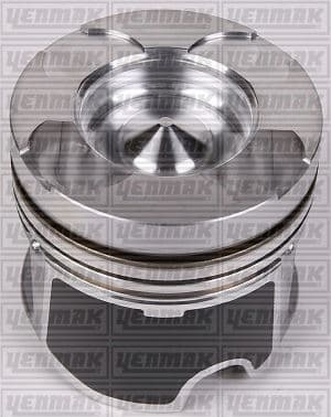 Piston+segman