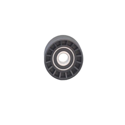 Alternatör Gergi Rulmanı P206-306-406-607-806-Partner-Boxer-C5-Berlingo DW10 2.0HDI-2.2HDI