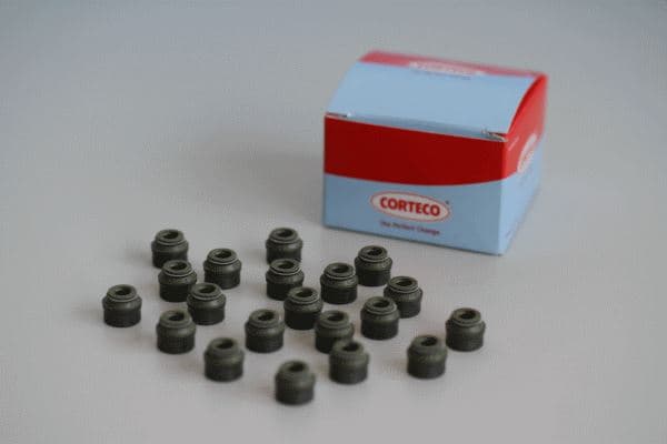 Subap Lastiği Volvo S40 V40 V50 S60 S70 C70 V70 XC70 S80 S90 V90 XC90 850 960 6 MM Benzinli 20 Li